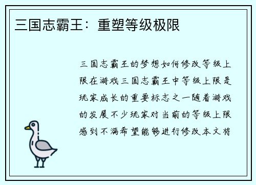 三国志霸王：重塑等级极限