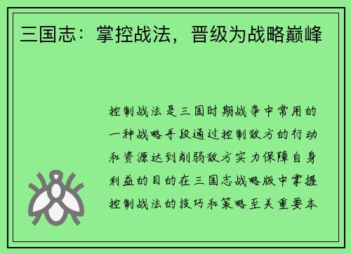 三国志：掌控战法，晋级为战略巅峰